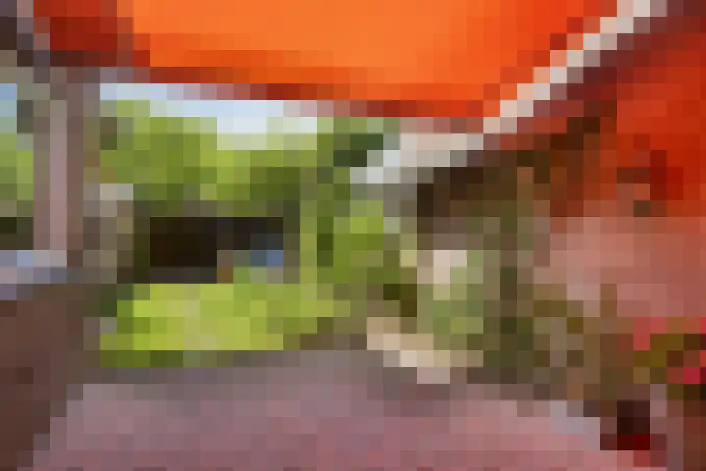 Fazantstraat 6 Beek thumbnail 38