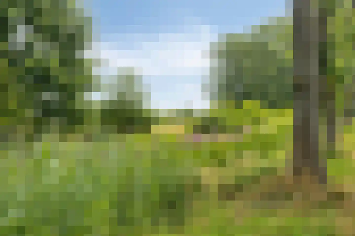 Fazantstraat 6 Beek thumbnail 46