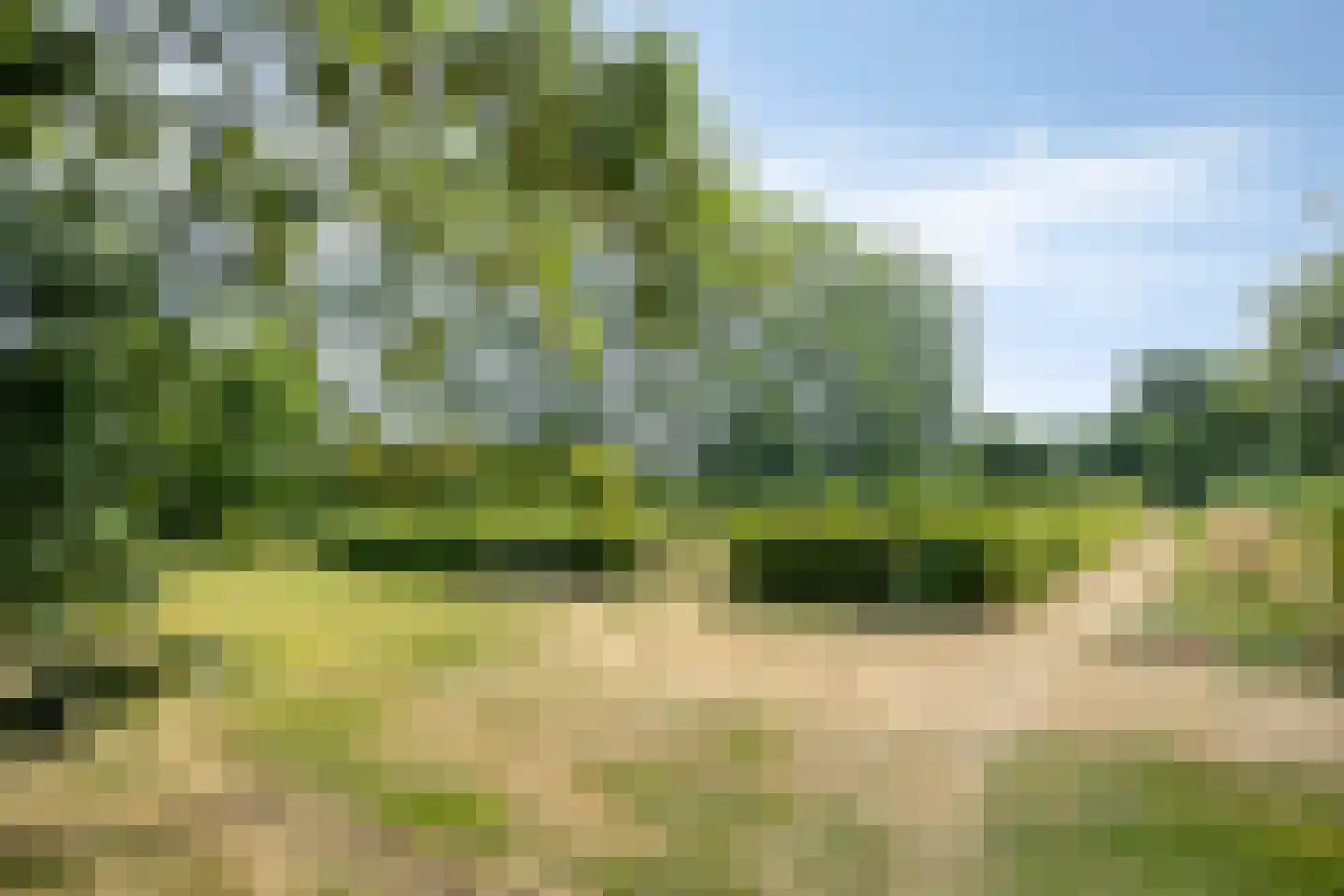 Fazantstraat 6 Beek thumbnail 48