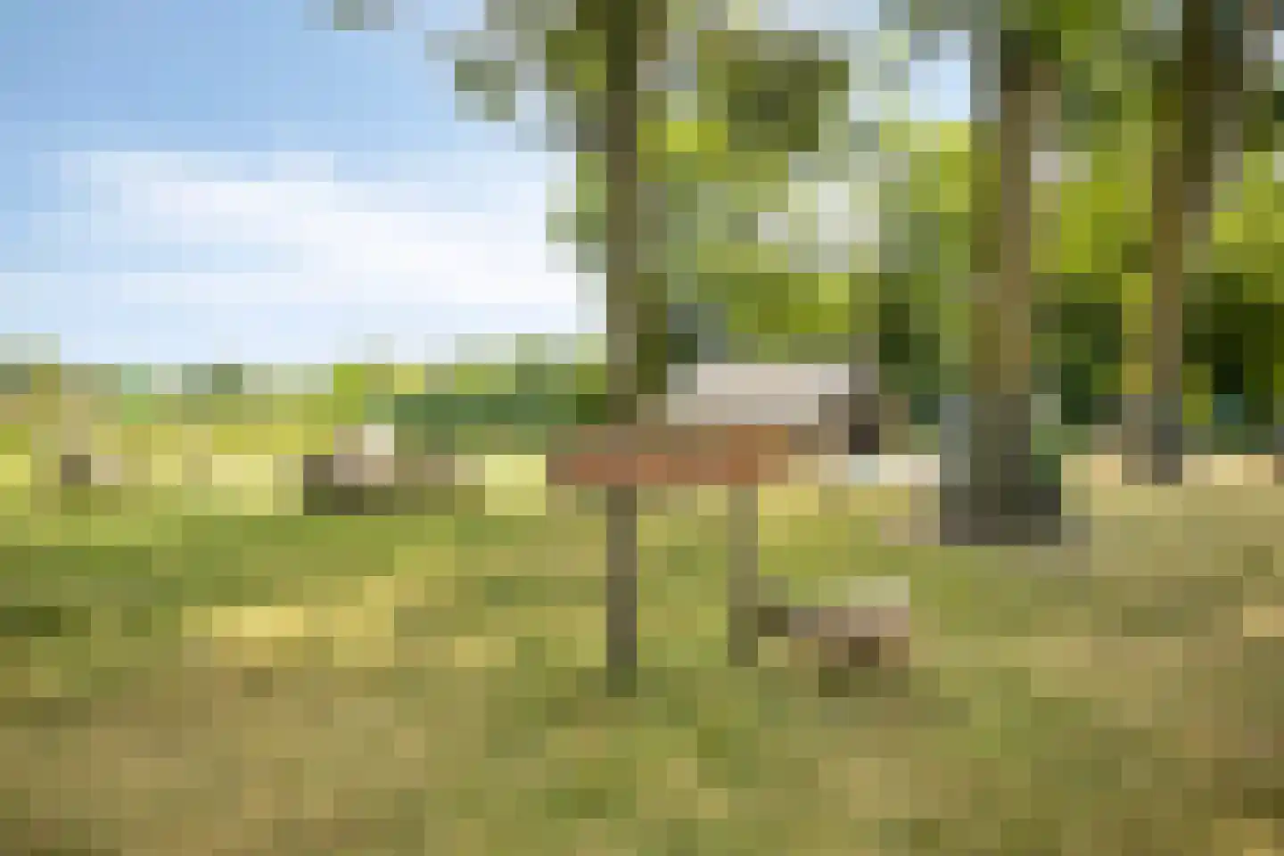 Fazantstraat 6 Beek thumbnail 50