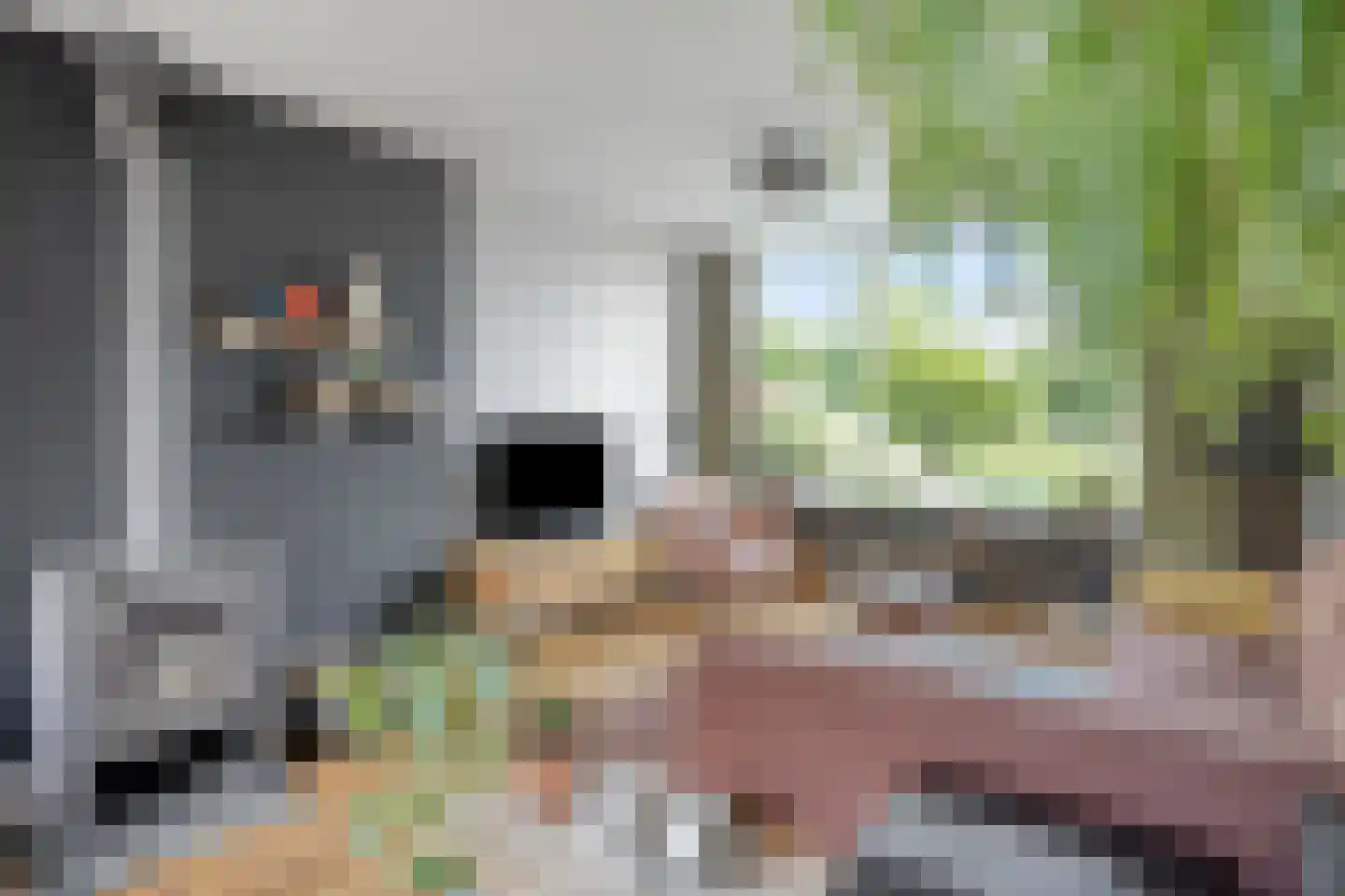 Fazantstraat 6 Beek thumbnail 9