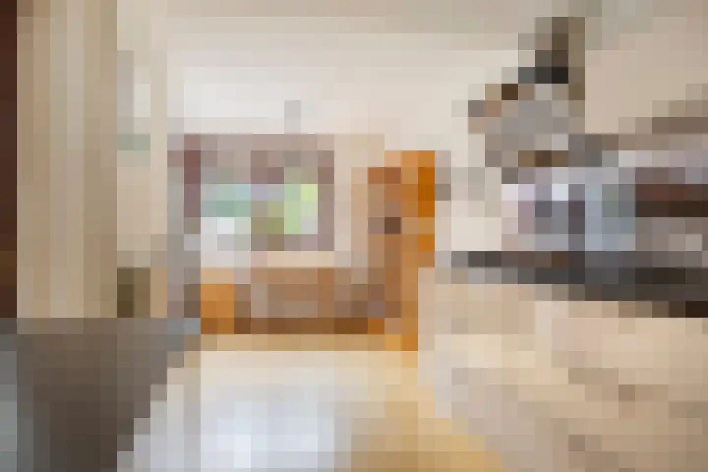 Fazantstraat 6 Bergen L thumbnail 12