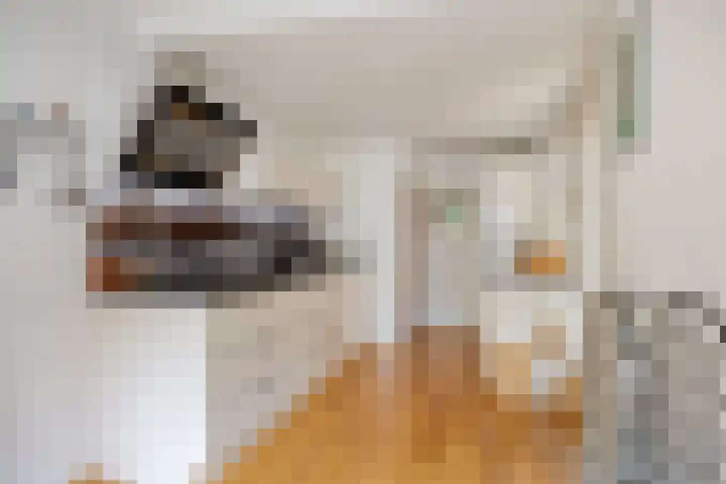 Fazantstraat 6 Bergen L thumbnail 13