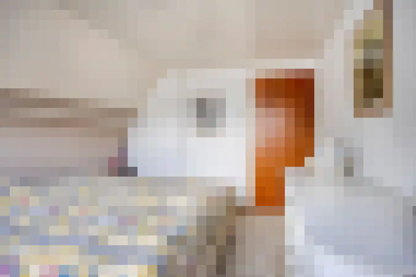 Fazantstraat 6 Bergen L thumbnail 21