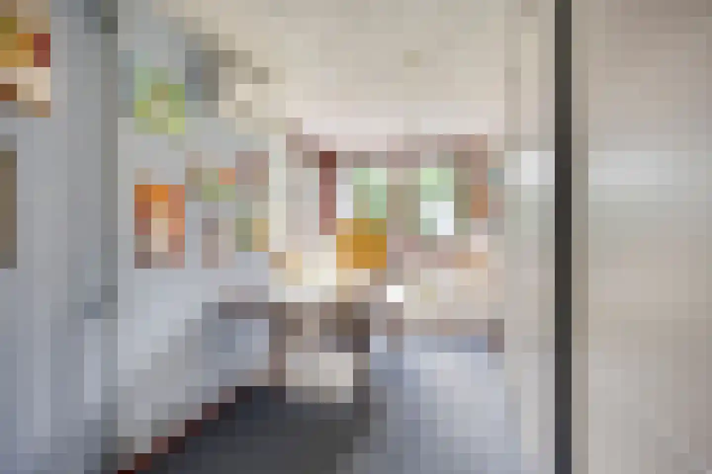 Fazantstraat 6 Bergen L thumbnail 22