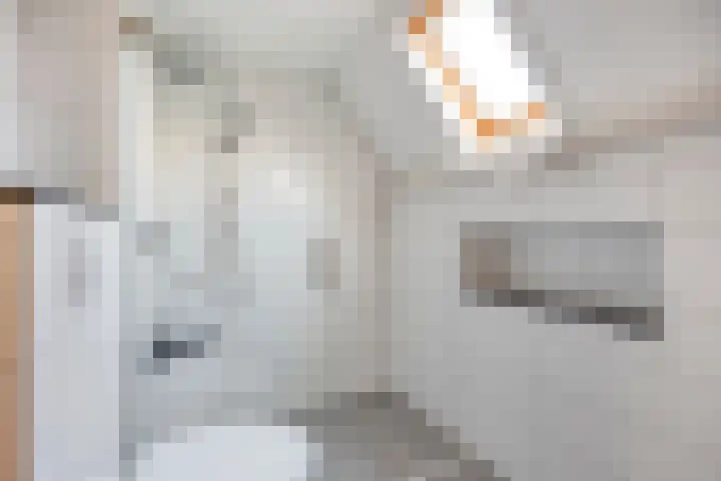 Fazantstraat 6 Bergen L thumbnail 24