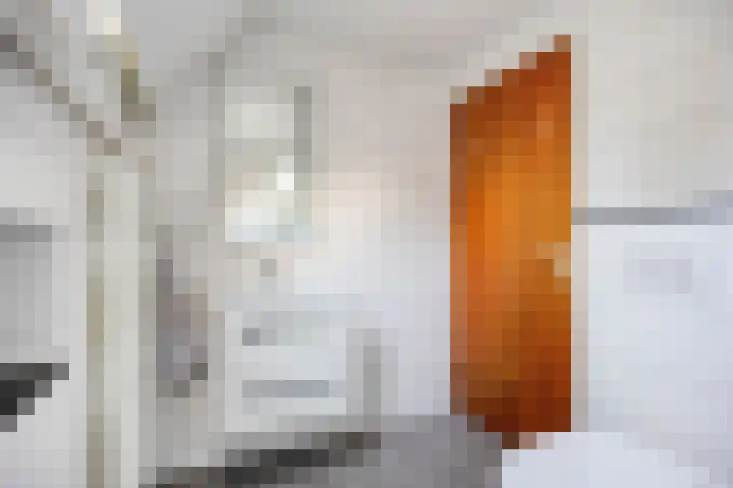 Fazantstraat 6 Bergen L thumbnail 25