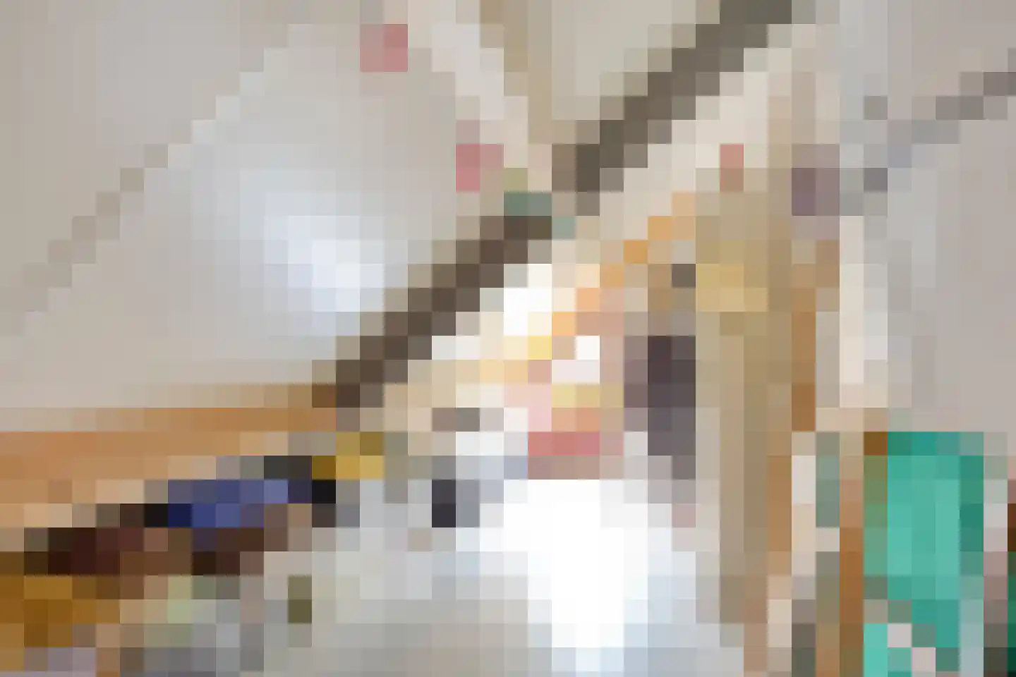 Fazantstraat 6 Bergen L thumbnail 26