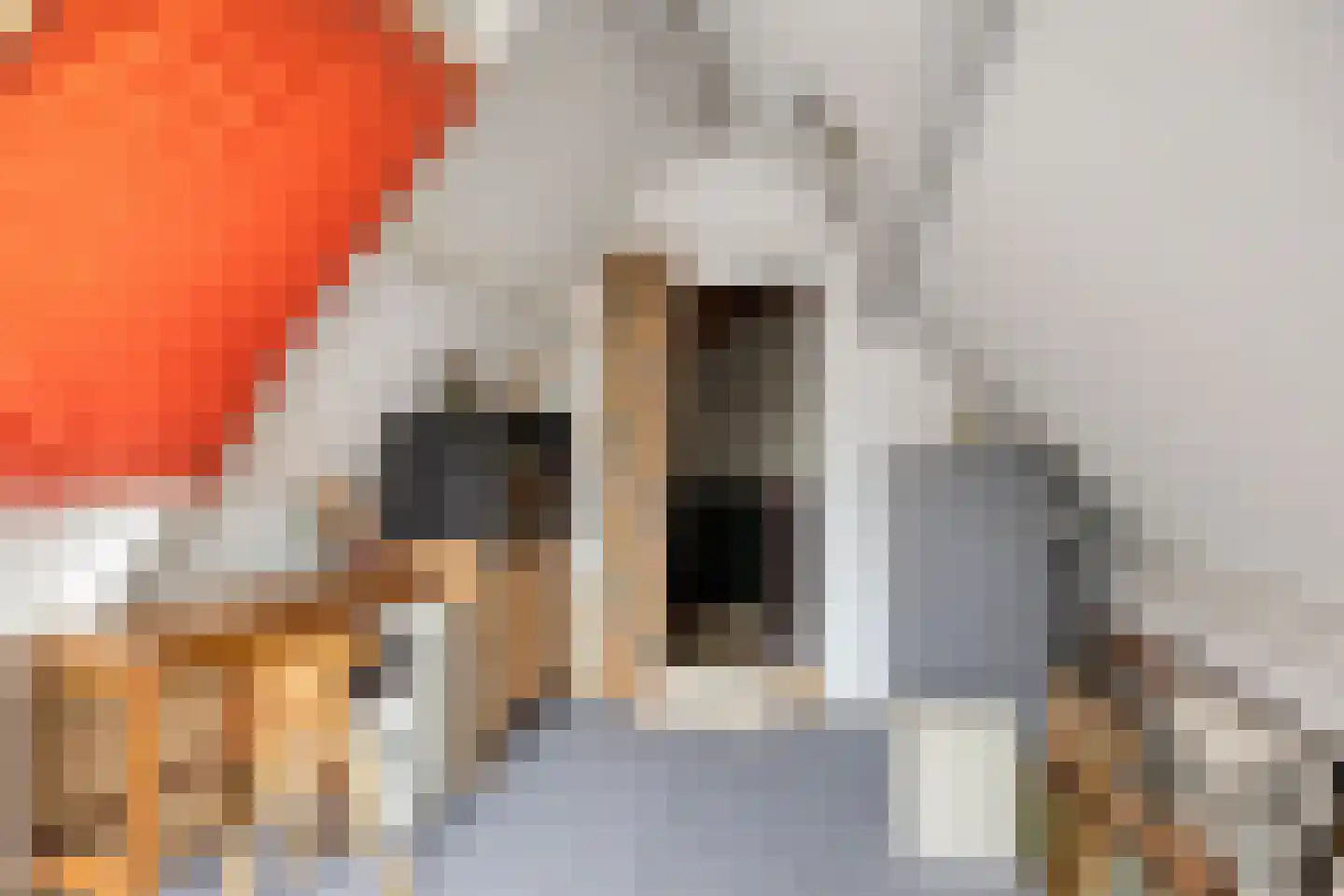 Fazantstraat 6 Bergen L thumbnail 28