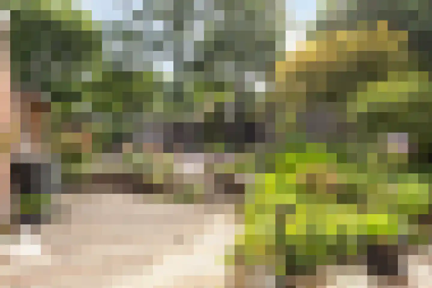 Fazantstraat 6 Bergen L thumbnail 29