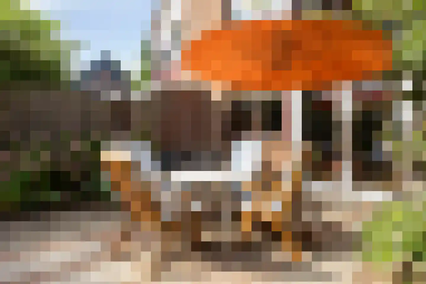 Fazantstraat 6 Bergen L thumbnail 30