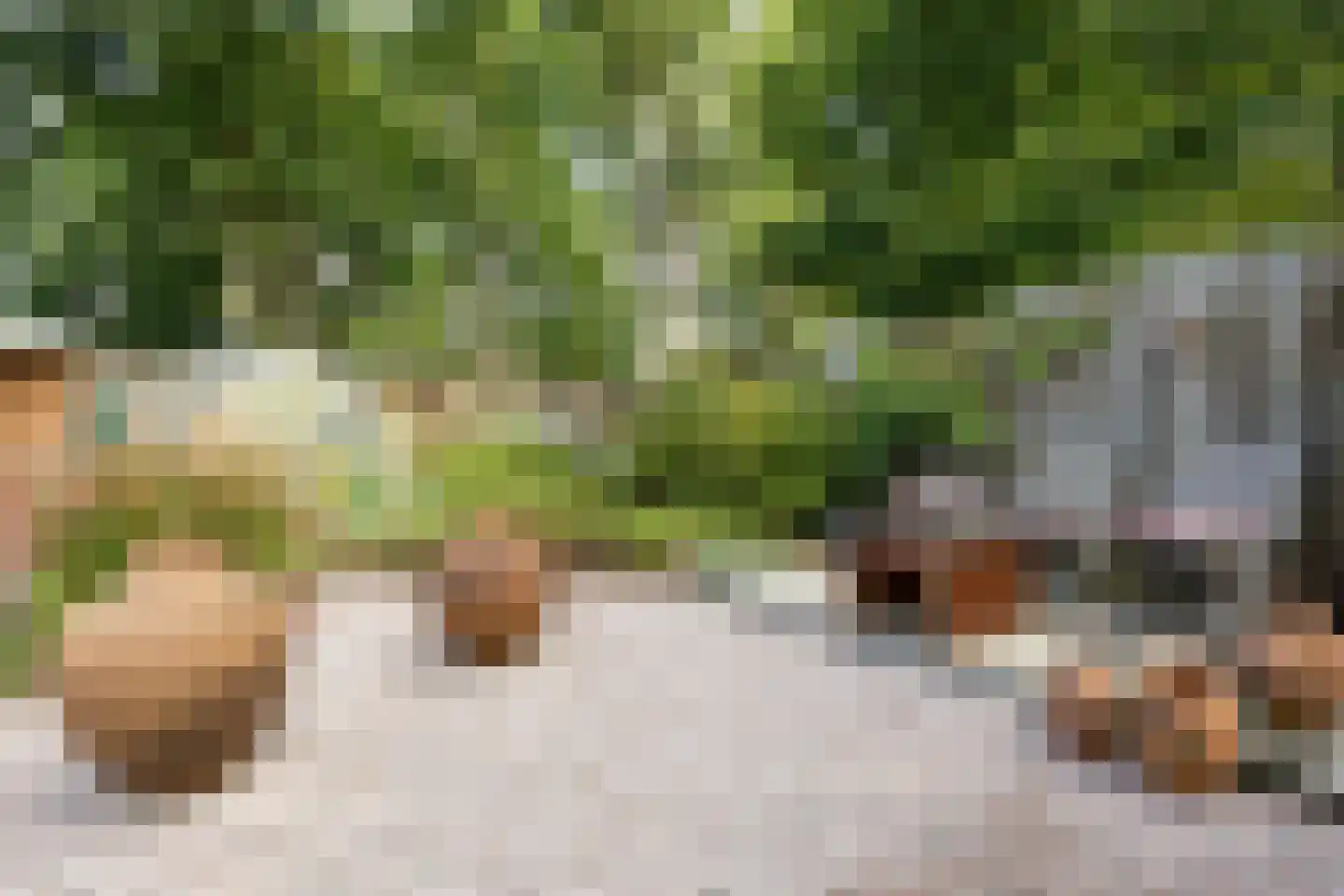 Fazantstraat 6 Bergen L thumbnail 32