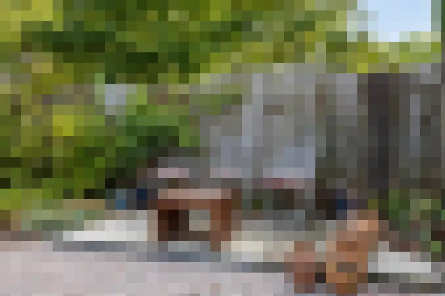 Fazantstraat 6 Bergen L thumbnail 33
