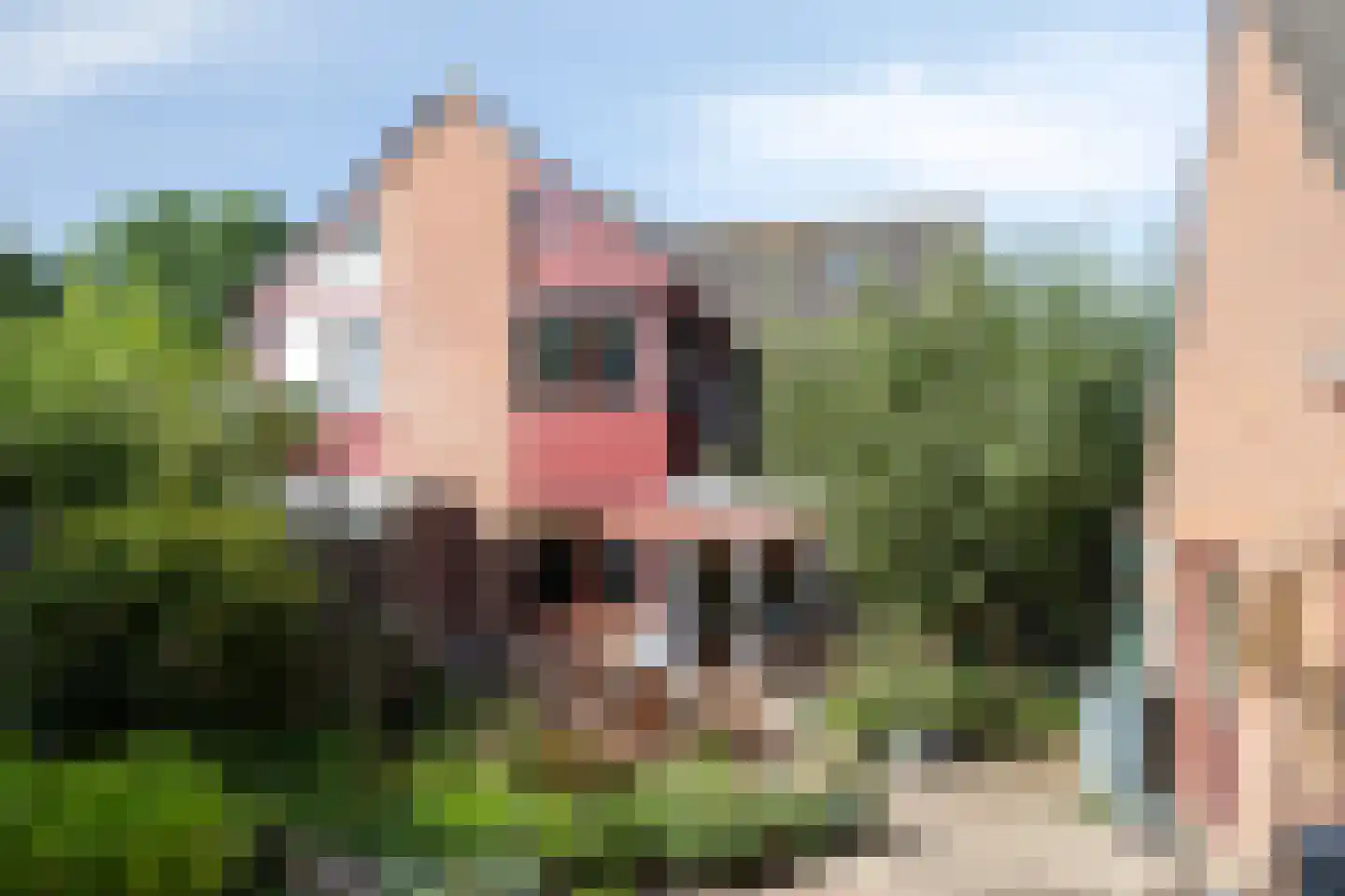 Fazantstraat 6 Bergen L thumbnail 34