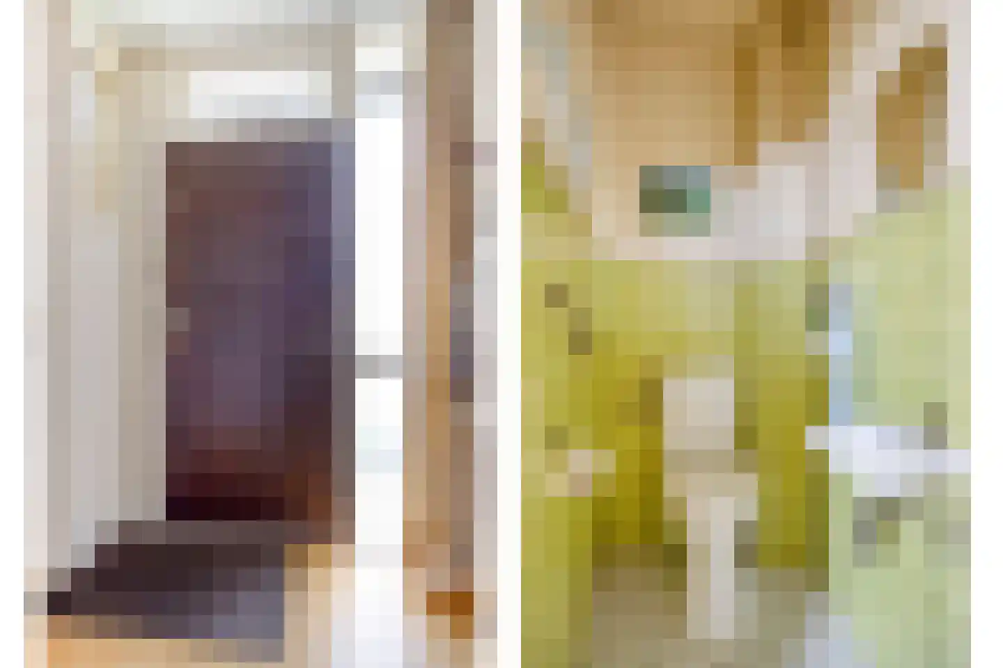 Fazantstraat 6 Bergen L thumbnail 5