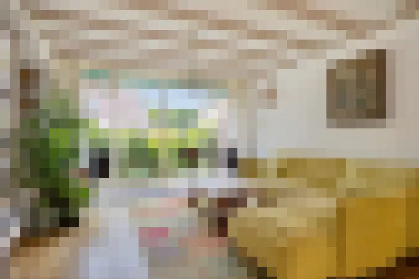 Fazantstraat 6 Bergen L thumbnail 8
