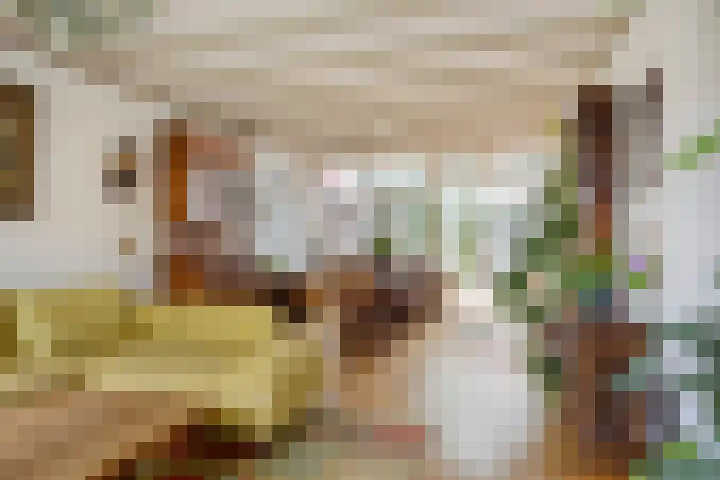 Fazantstraat 6 Bergen L thumbnail 9