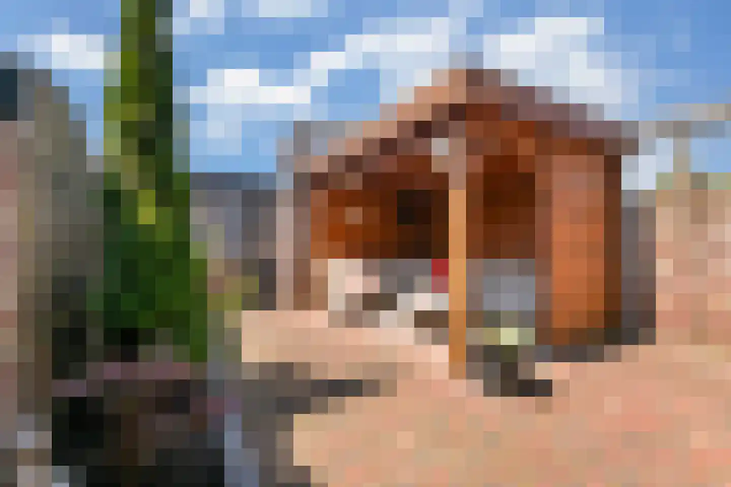 Fazantstraat 6 Didam thumbnail 13