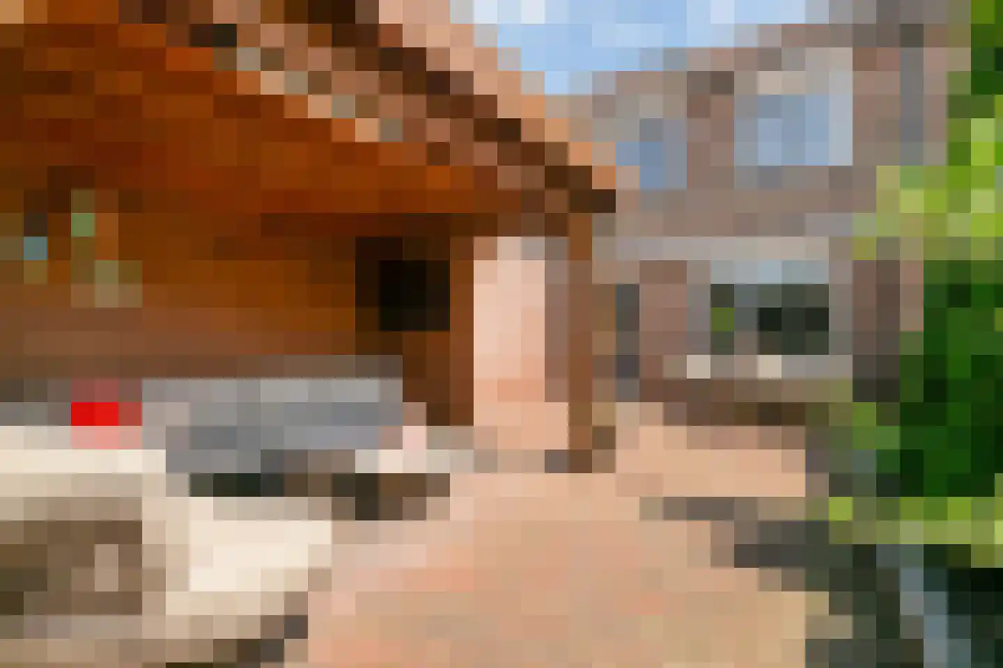 Fazantstraat 6 Didam thumbnail 14