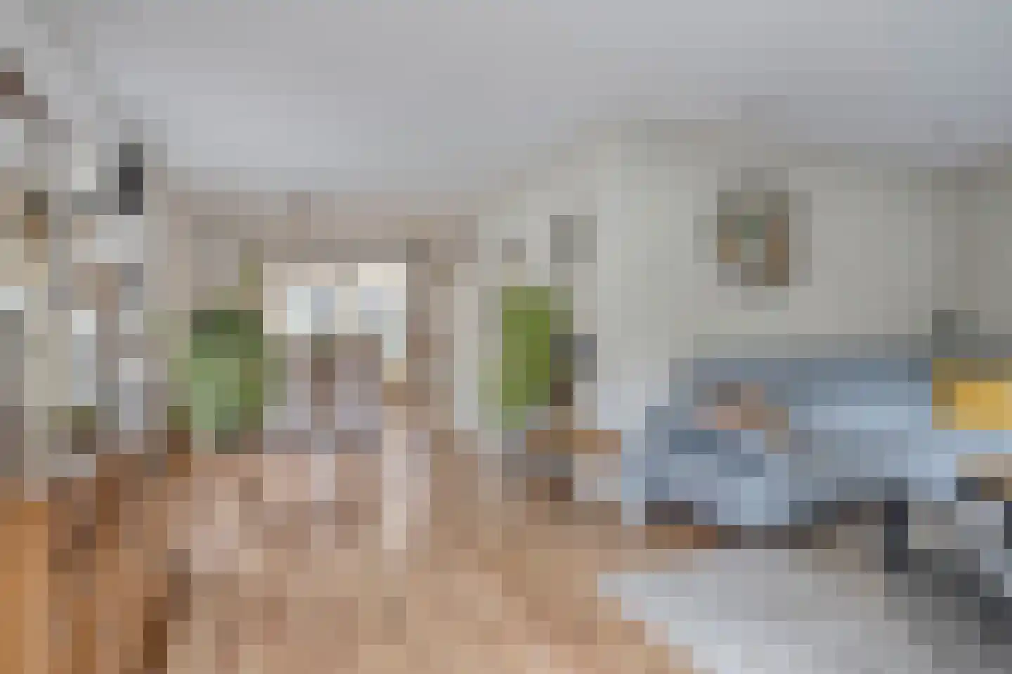 Fazantstraat 65 Haaksbergen thumbnail 17