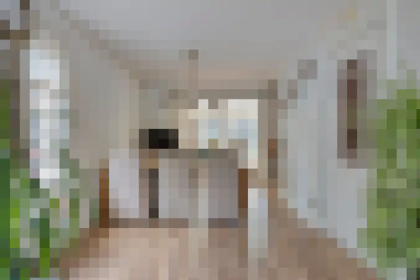 Fazantstraat 65 Haaksbergen thumbnail 18