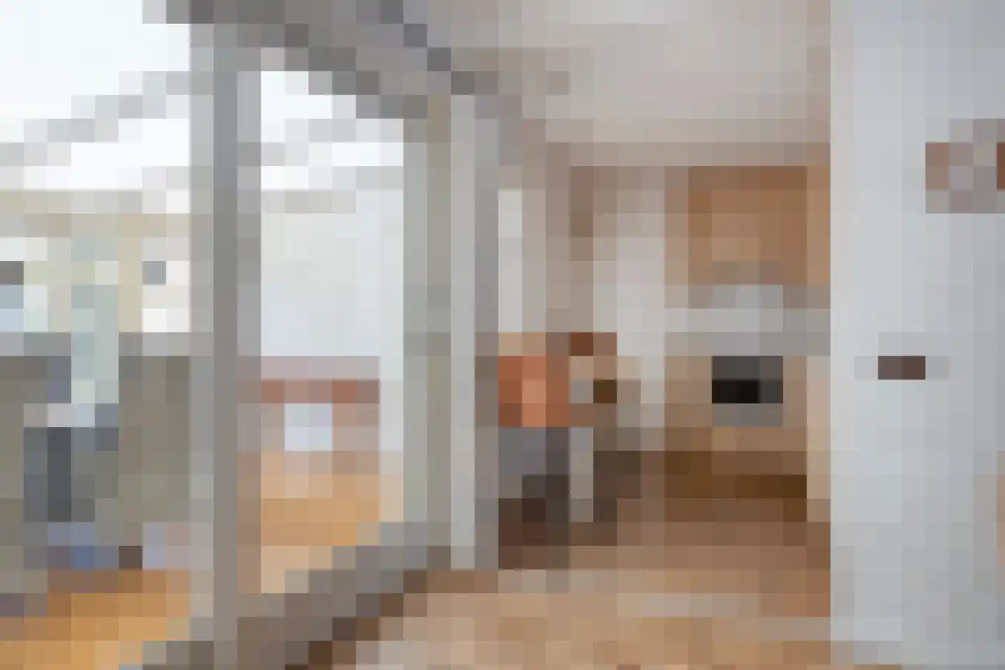 Fazantstraat 65 Haaksbergen thumbnail 22