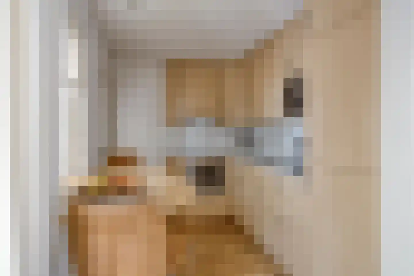 Fazantstraat 65 Haaksbergen thumbnail 23