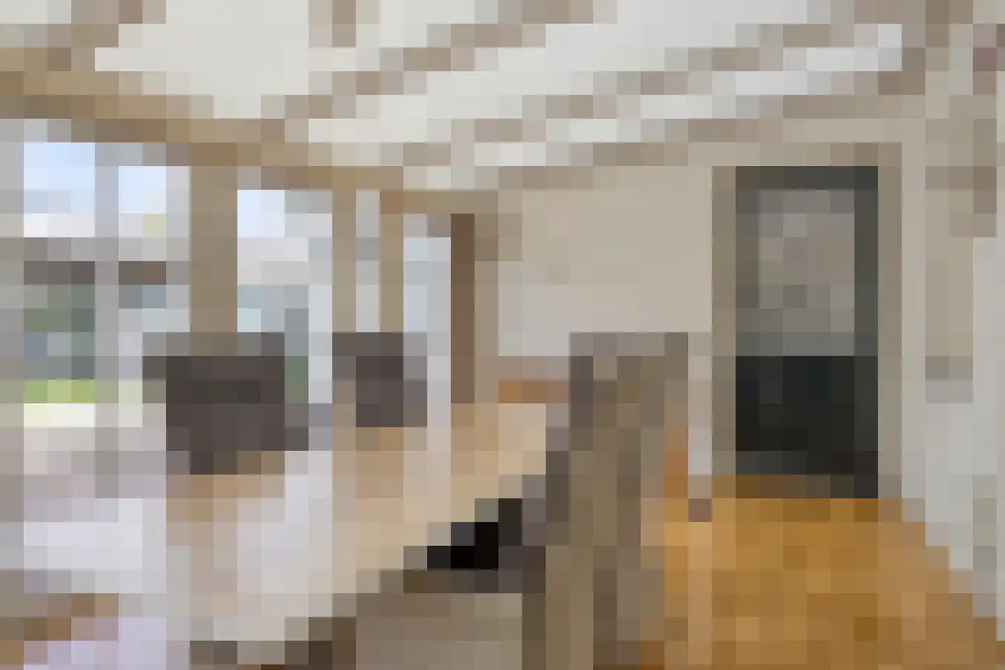 Fazantstraat 65 Haaksbergen thumbnail 28