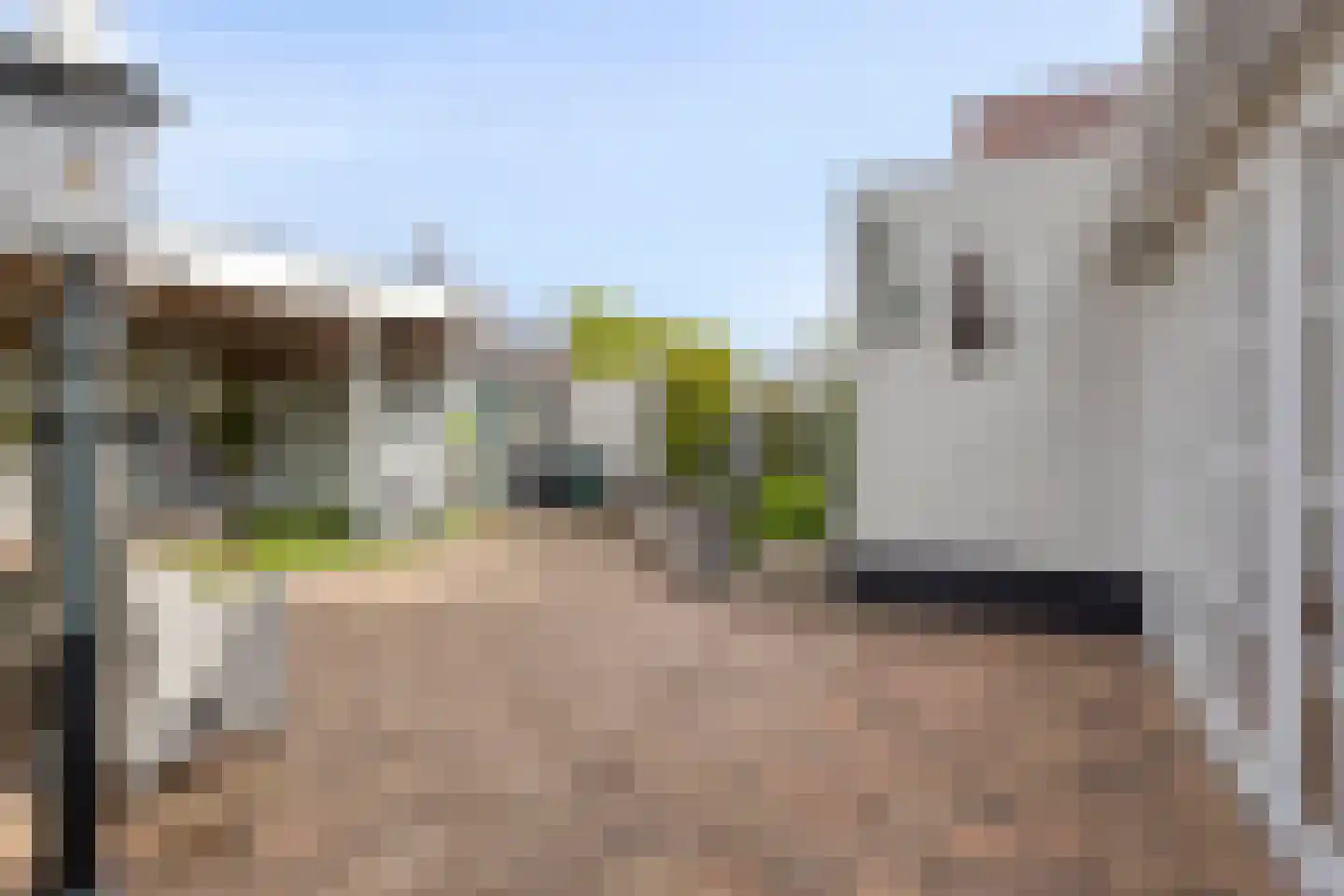 Fazantstraat 65 Haaksbergen thumbnail 33