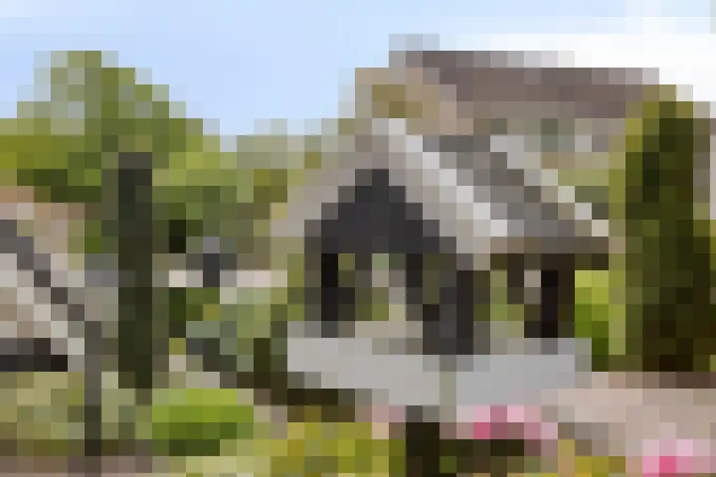 Fazantstraat 65 Haaksbergen thumbnail 39