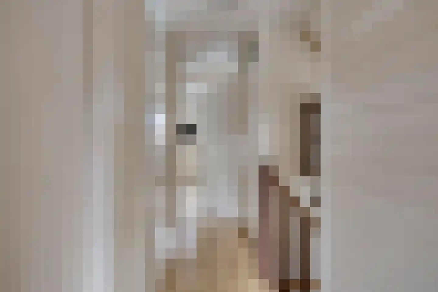 Fazantstraat 65 Haaksbergen thumbnail 41