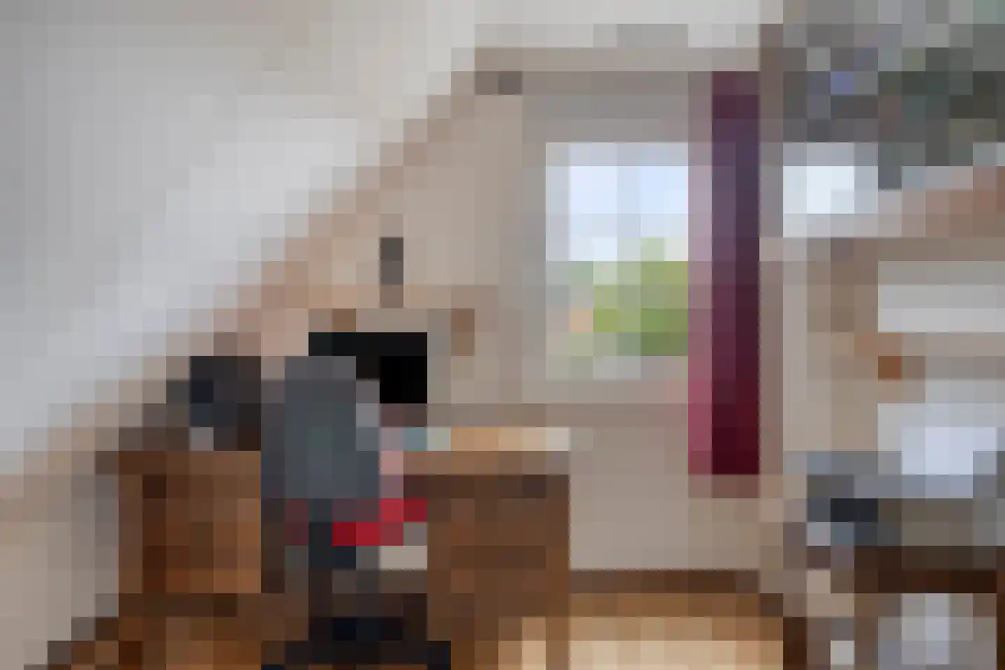 Fazantstraat 65 Haaksbergen thumbnail 44