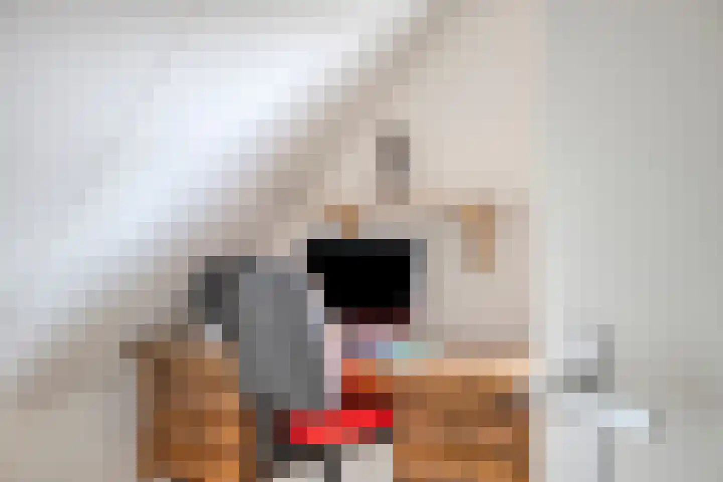 Fazantstraat 65 Haaksbergen thumbnail 45