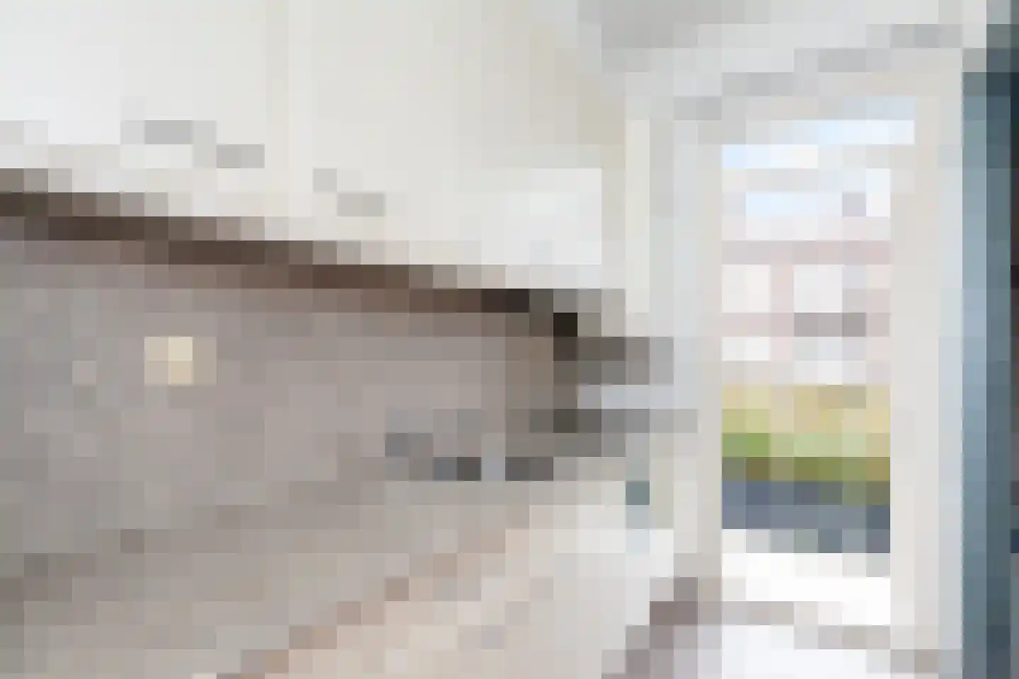 Fazantstraat 68 C Rotterdam thumbnail 12