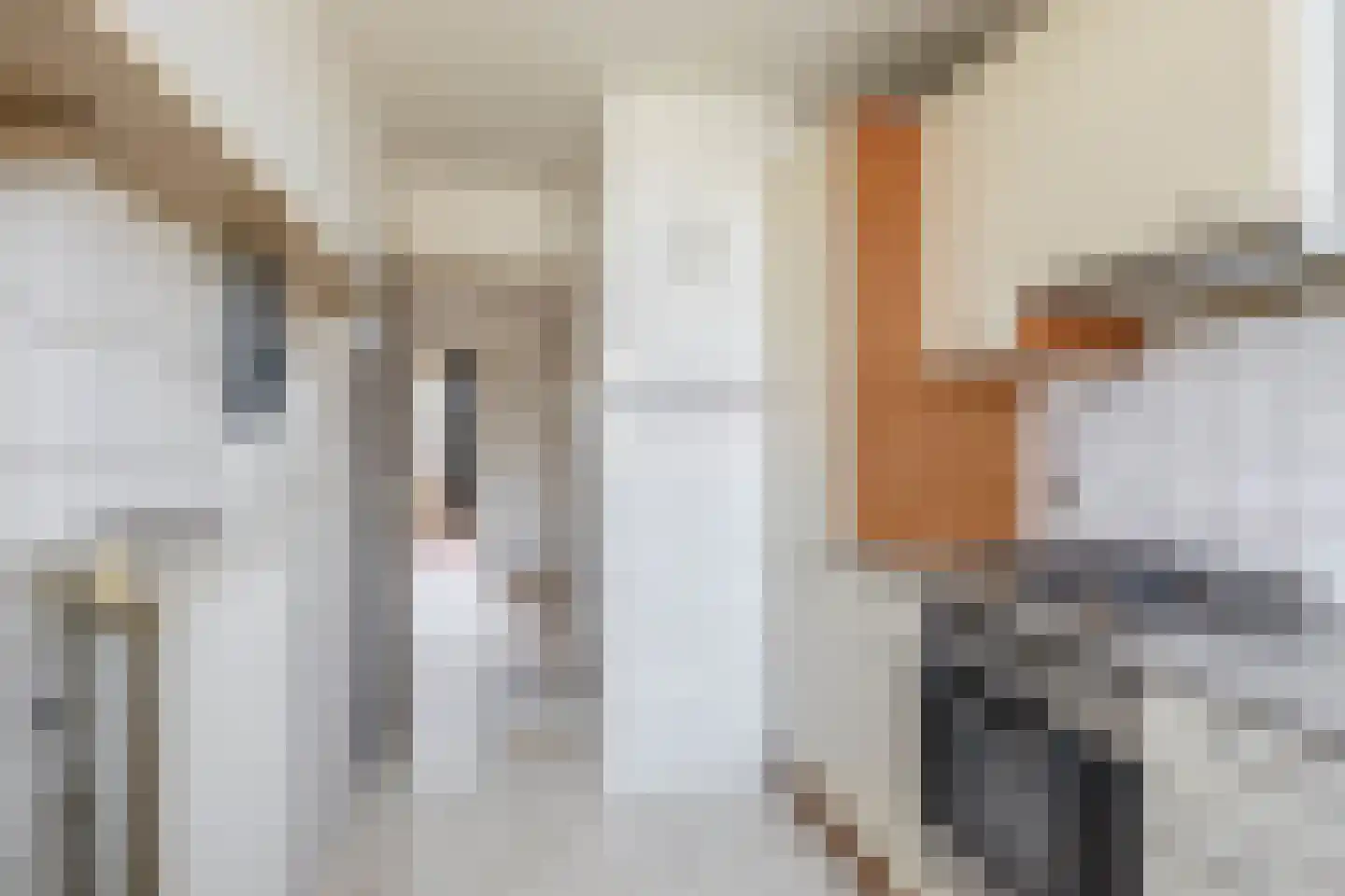 Fazantstraat 70 Alphen aan den Rijn thumbnail 12