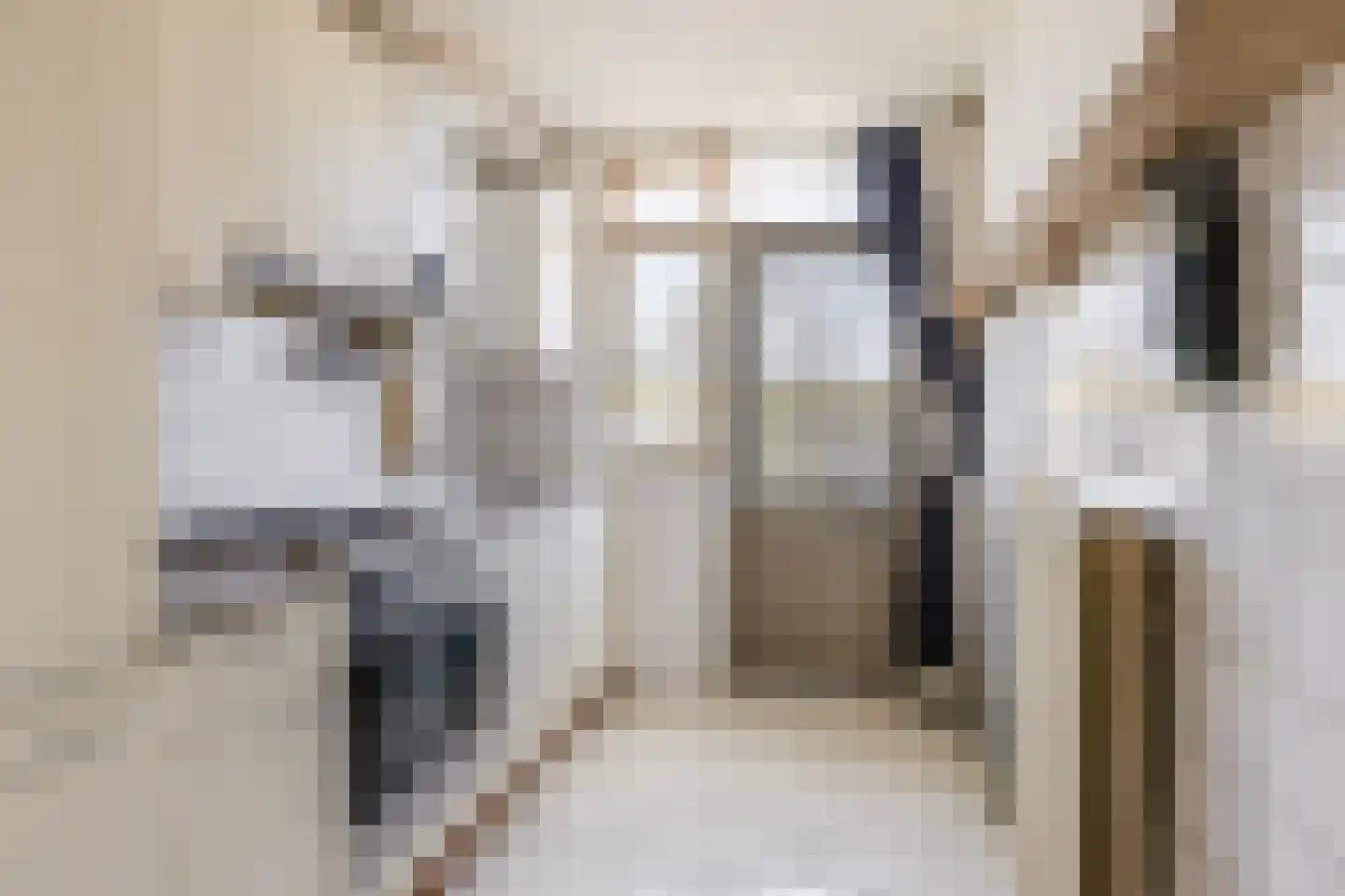 Fazantstraat 70 Alphen aan den Rijn thumbnail 13