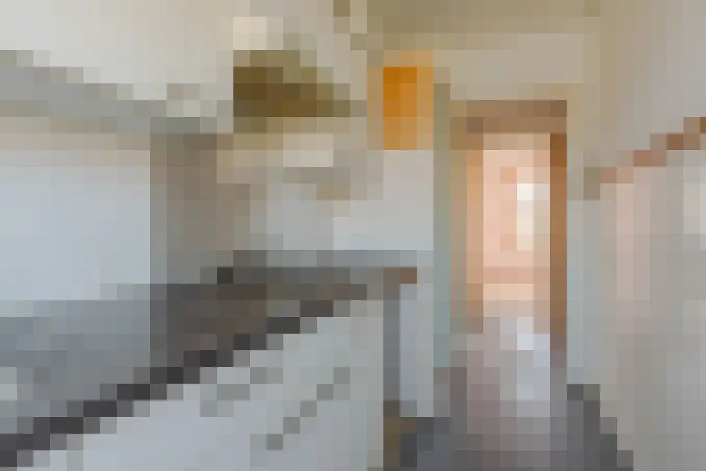 Fazantstraat 70 C Rotterdam thumbnail 10