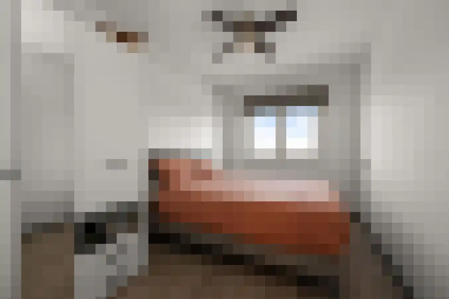 Fazantstraat 78 Alphen aan den Rijn thumbnail 4
