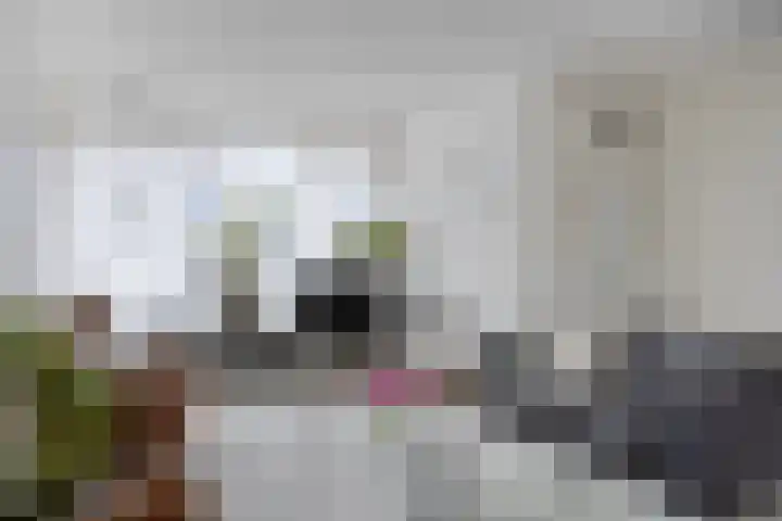 Fazantstraat 78 Haaksbergen thumbnail 11