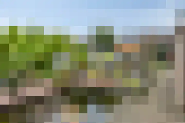 Fazantstraat 78 Haaksbergen thumbnail 26