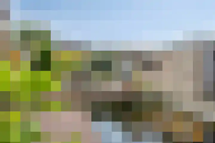 Fazantstraat 78 Haaksbergen thumbnail 27