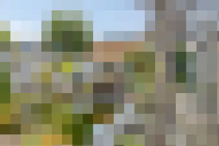 Fazantstraat 78 Haaksbergen thumbnail 28