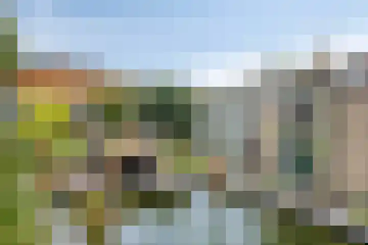 Fazantstraat 78 Haaksbergen thumbnail 29