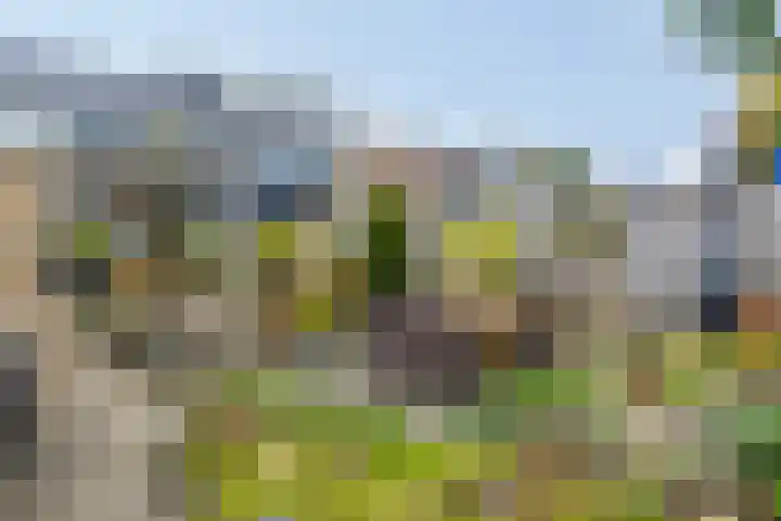 Fazantstraat 78 Haaksbergen thumbnail 30
