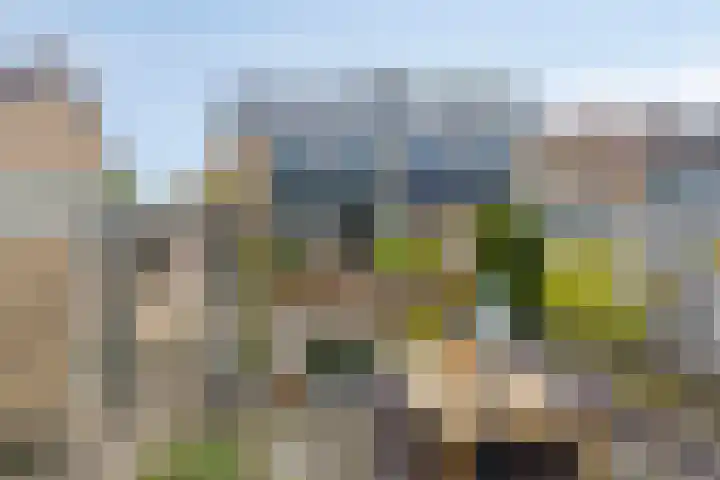 Fazantstraat 78 Haaksbergen thumbnail 31