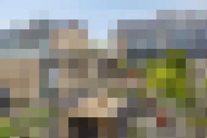 Fazantstraat 78 Haaksbergen thumbnail 32