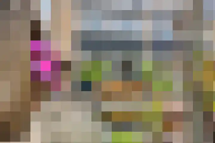 Fazantstraat 78 Haaksbergen thumbnail 34