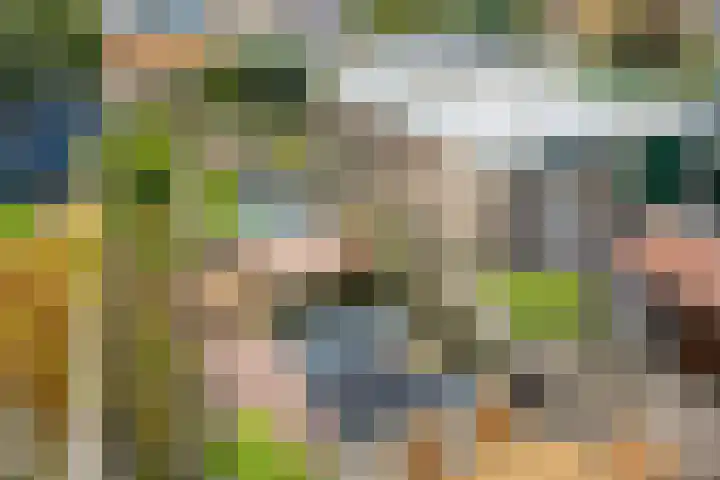 Fazantstraat 78 Haaksbergen thumbnail 35