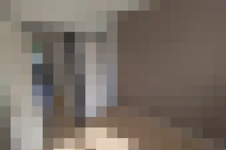 Fazantstraat 86 Alphen aan den Rijn thumbnail 15