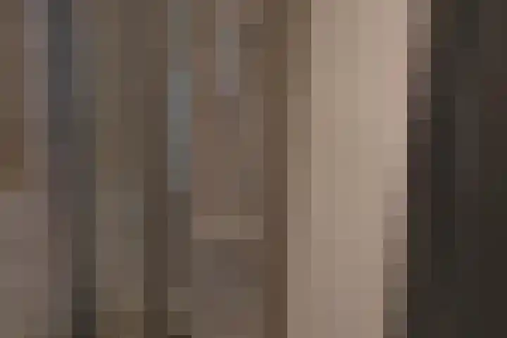 Fazantstraat 86 Alphen aan den Rijn thumbnail 18